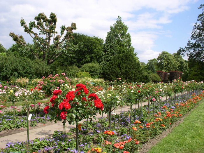 Hochstammgarten Hochstammgarten