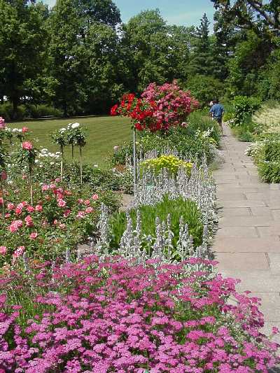 Staudengarten Staudengarten