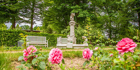 im Vordergrund Rosen, im Hintergund der Bärchenbrunnen