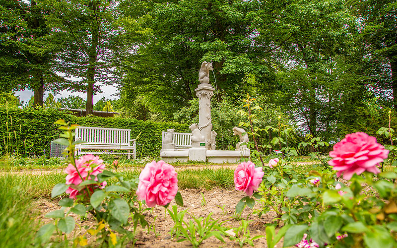 im Vordergrund Rosen, im Hintergund der Bärchenbrunnen