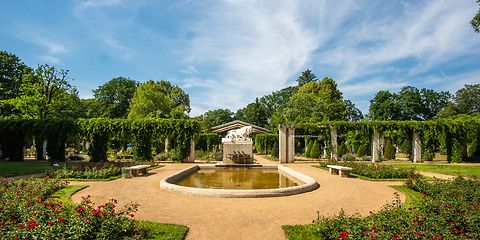 Panoramabild mit Rosenbeet und Weg im Vordergrund in der Mitte der Löwenbrunnen