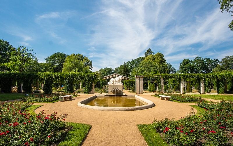 Panoramabild mit Rosenbeet und Weg im Vordergrund in der Mitte der Löwenbrunnen