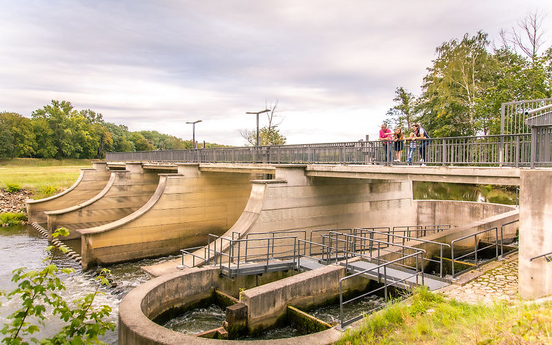 Familie steht auf der Brücke der Wehranlage und schaut auf die Fischtreppe