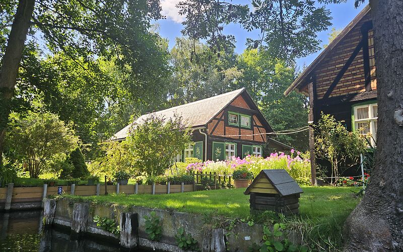 Typisches Spreewaldhaus am Wasser, umgeben von grüner Landschaft, gesehen von einem Kahn.