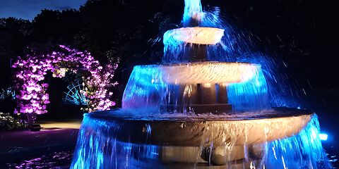 Der Brunnen ist in blaues Licht getaucht. Im Hintergrund sind Rosen zu sehen, die in rosafarbenes Licht gehüllt sind. Die Farben erzeugen eine ruhige und harmonische Atmosphäre.
