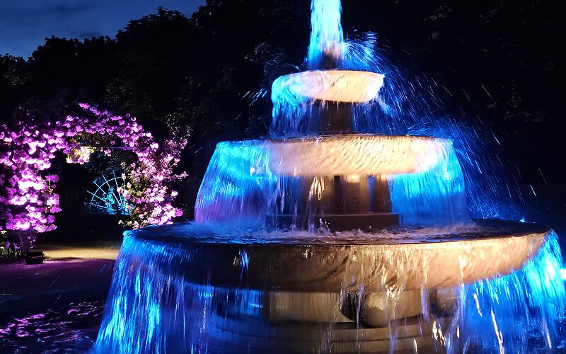 Der Brunnen ist in blaues Licht getaucht. Im Hintergrund sind Rosen zu sehen, die in rosafarbenes Licht gehüllt sind. Die Farben erzeugen eine ruhige und harmonische Atmosphäre.