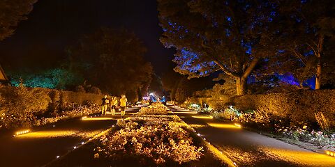Das Foto zeigt den Rosengarten bei Nacht. Die Wege sind in warmes, gelbliches Licht getaucht. Im Hintergrund sind Bäume zu sehen, die leicht blau und grün beleuchtet sind.