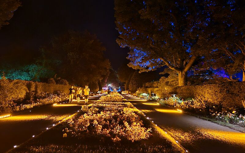 Das Foto zeigt den Rosengarten bei Nacht. Die Wege sind in warmes, gelbliches Licht getaucht. Im Hintergrund sind Bäume zu sehen, die leicht blau und grün beleuchtet sind.