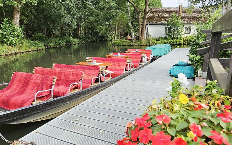Ein Kahn mit Tischen und Bänken, die mit roten Decken bedeckt sind, liegt auf einem Kanal im Spreewald in Burg. Die grüne, idyllische Umgebung prägt die Szenerie.