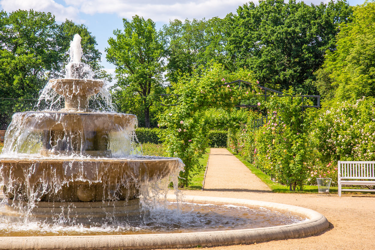 Ostdeutscher Rosengarten in Forst (Lausitz) - Magisches, Musikalisches und  Heiteres inmitten blühender und duftender Rosen