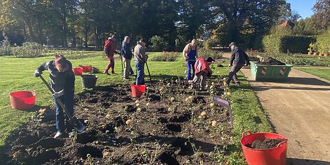 Mehrer Menschen arbeiten mit Schaufeln in eine Rosenbeet. An den Seiten stehen rote mit Erde gefüllte Eimer. Im Hintergrund sind große Bäume zu sehen. Die Sonne scheint.