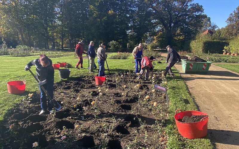 Mehrer Menschen arbeiten mit Schaufeln in eine Rosenbeet. An den Seiten stehen rote mit Erde gefüllte Eimer. Im Hintergrund sind große Bäume zu sehen. Die Sonne scheint.