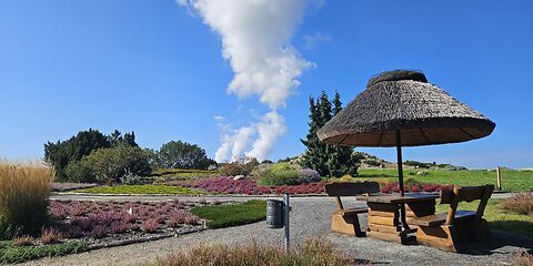 Bunte Heidepflanzen, Ziergräser und Sträucher im Findlingspark Nochten. Ein Holztisch mit Holzbänken unter einem großen Reetsonnenschirm lädt zum Verweilen ein. Im Hintergrund sind weiße Dampfwolken des Kraftwerks Boxberg zu sehen.