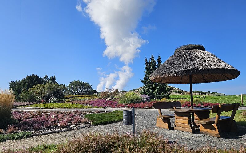 Bunte Heidepflanzen, Ziergräser und Sträucher im Findlingspark Nochten. Ein Holztisch mit Holzbänken unter einem großen Reetsonnenschirm lädt zum Verweilen ein. Im Hintergrund sind weiße Dampfwolken des Kraftwerks Boxberg zu sehen.