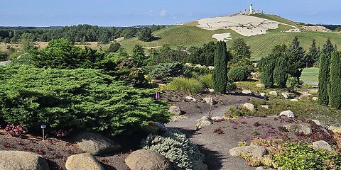 Verschiedene Sträucher, kleine Bäume, Ziergräser und rotbraune Blüten prägen die abwechslungsreiche Bepflanzung im Findlingspark Nochten. Im Hintergrund erstreckt sich eine grüne Wiese mit einem Hügel, auf dessen Gipfel eine kleine, an Stonehenge erinnernde Steinformation zu sehen ist.