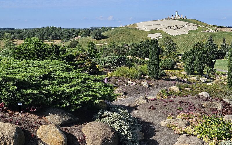 Verschiedene Sträucher, kleine Bäume, Ziergräser und rotbraune Blüten prägen die abwechslungsreiche Bepflanzung im Findlingspark Nochten. Im Hintergrund erstreckt sich eine grüne Wiese mit einem Hügel, auf dessen Gipfel eine kleine, an Stonehenge erinnernde Steinformation zu sehen ist.