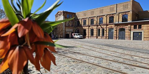 Das Foto zeigt den Hof des Forster Museums mit historischen Gleisanlagen. Im Vordergrund ist eine blühende Kaiserblume zu sehen.