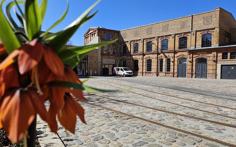 Das Foto zeigt den Hof des Forster Museums mit historischen Gleisanlagen. Im Vordergrund ist eine blühende Kaiserblume zu sehen.