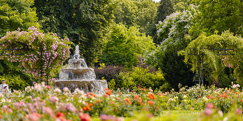 Auf dem Foto ist ein Rosengarten mit seinen farbenprächtigen Rosen, einem schönen Kaskadenbrunnen und märchenhaft wirkenden Bäumen zu sehen.