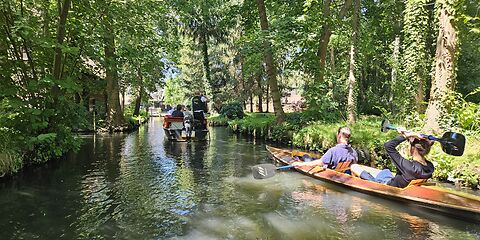 Eine Fahrt mit einem Kahn und einem Kajak durch die grüne, malerische Landschaft des Spreewaldes.