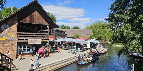Im Hafen am Freilandmuseum in Lehde liegen mehrere Kähne mit Touristen. Im Hafen und am Ufer sind zahlreiche Besucher unterwegs.