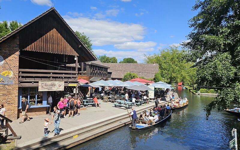 Im Hafen am Freilandmuseum in Lehde liegen mehrere Kähne mit Touristen. Im Hafen und am Ufer sind zahlreiche Besucher unterwegs.