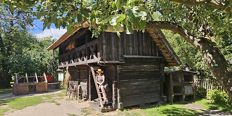 Auf dem Foto ist ein typisches hölzernes Wirtschaftsgebäude im Freilandmuseum in Lehde mit einem Reetdach zu sehen. Das Gebäude steht neben einem großen Baum. Auf der schmalen Holztreppe des Hauses sitzt eine Touristin mit einem gelben Hut.
