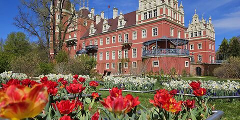 Auf dem Foto ist das prächtige Schloss des Fürsten Pückler in Bad Muskau zu sehen. Vor dem Schloss erstreckt sich eine farbenfrohe Blumenanlage mit zahlreichen weißen und roten Tulpen. Darüber spannt sich ein klarer, tiefblauer Himmel.