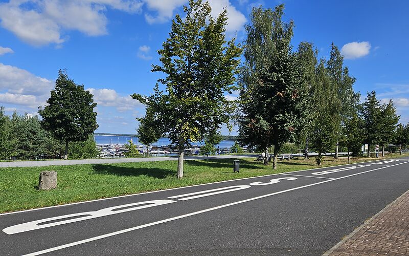 Zu sehen ist ein großzügiger Busparkplatz am Gräbendorfer See. Die Stellplätze sind deutlich mit dem Schriftzug „BUS“ gekennzeichnet. Entlang des Parkplatzes wachsen große Bäume. Im Hintergrund sind der Hafen und mehrere Boote zu sehen.