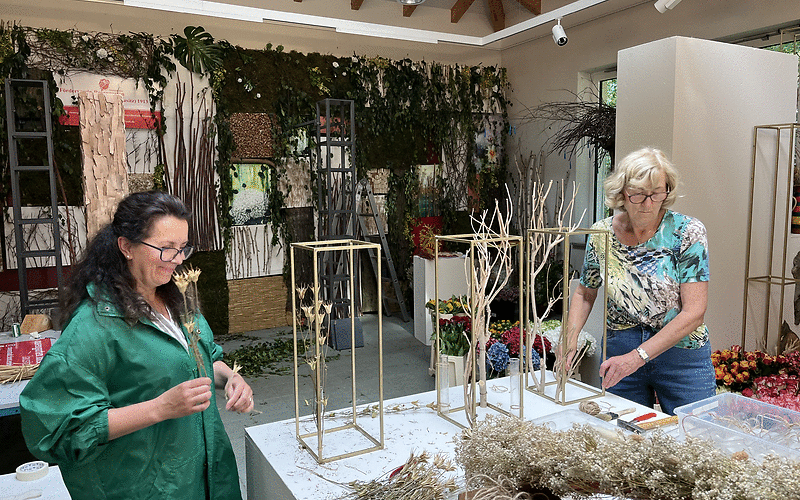 Zwei Frauen arbeiten an einem Tisch mit Trockenblumen und Holzrahmen in einem Raum mit Pflanzenwänden und Holzbalkendecke