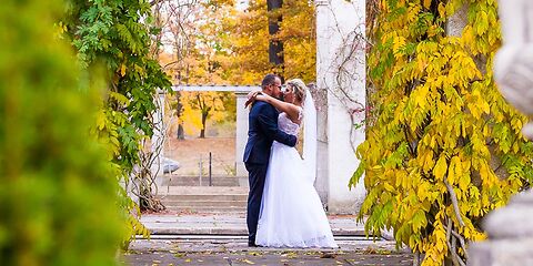 Hochzeitspaar in der Mitte des Bildes in Umarmung, umrahmt von großen geformten Gehölzen