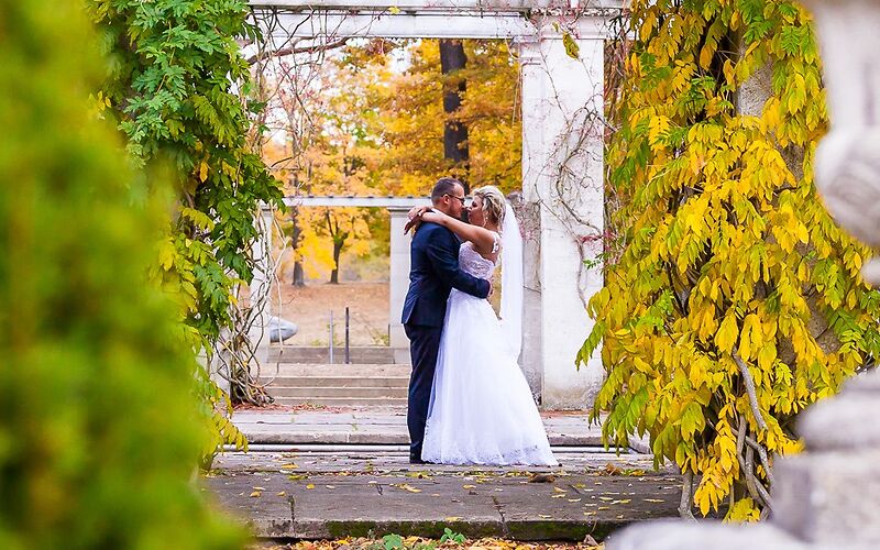 Hochzeitspaar in der Mitte des Bildes in Umarmung, umrahmt von großen geformten Gehölzen