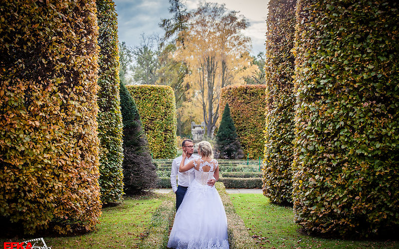 Hochzeitspaar in der Mitte des Bildes in Umarmung, umrahmt von großen geformten Gehölzen