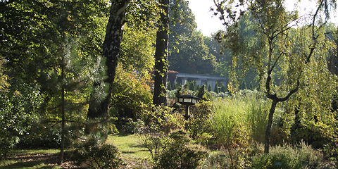 Blick in den herbstlichen Frühlings- und Heidegarten, die Morgensonne lässt Schatten fallen