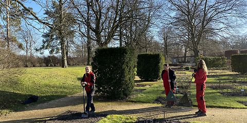 Freiwilliges Jahr in der Gartendenkmalpflege im Ostdeutschen Rosengarten Forst (Lausitz) 