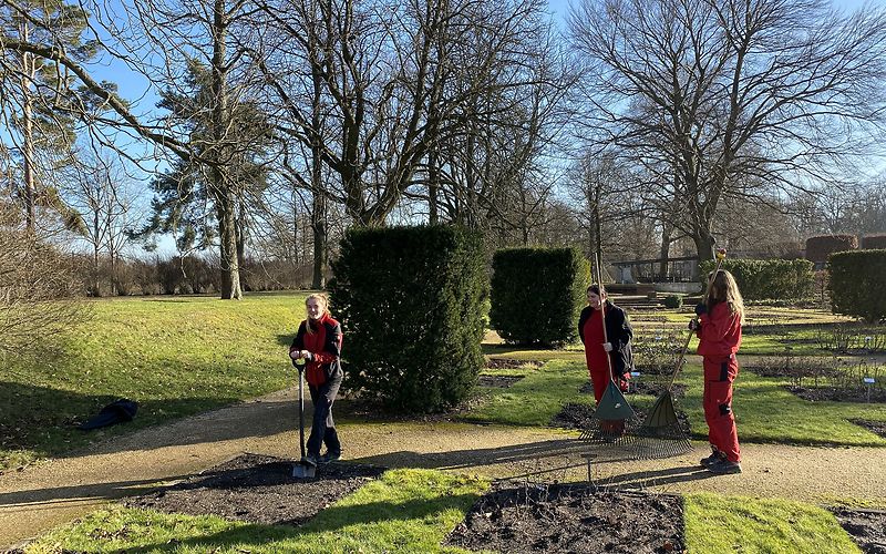 Freiwilliges Jahr in der Gartendenkmalpflege im Ostdeutschen Rosengarten Forst (Lausitz) 