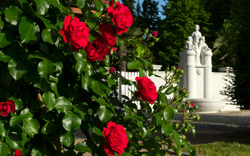 Ostdeutscher Rosengarten Forst (Lausitz), Europäischer Parkverbund