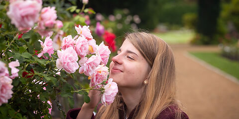 Eine Frau mit offenen langen brauen riecht an einem Rosenstrauch, an dem viele rosafarbene Rosen blühen, im Hintergrund sind verschwommen ein Sandweg und mehrere Bäume auf einer Wiese sichtbar