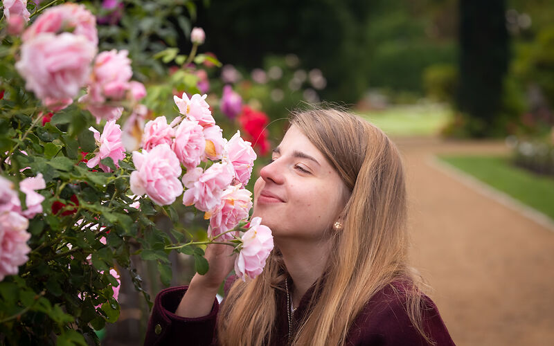 Eine Frau mit offenen langen brauen riecht an einem Rosenstrauch, an dem viele rosafarbene Rosen blühen, im Hintergrund sind verschwommen ein Sandweg und mehrere Bäume auf einer Wiese sichtbar