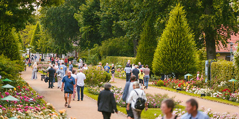 Ostdeutscher Rosengarten in festlicher Abendstimmung