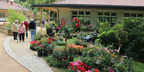 Am Weg neben dem Beucherzentrum stehen verschiedene Pflanzen in Töpfen die zum Verkauf angeboten werden