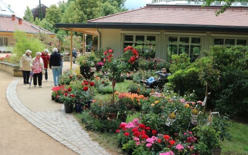 Am Weg neben dem Beucherzentrum stehen verschiedene Pflanzen in Töpfen die zum Verkauf angeboten werden