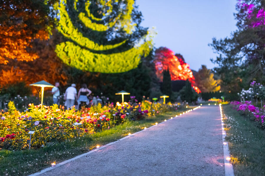 Rad-Rolf Am Rosengarten Forst Keune – WATQVT
