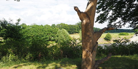 eine Holzskulptur steht im Grünen