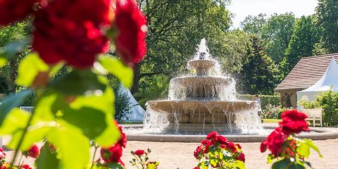 Dreistufiger Springbrunnen auf einer Sandfläche vor Bäumen mit roten Rosen im Vordergrund