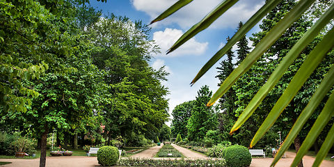 Sicht vom Eingang auf die Hauptachse im Rosenpark