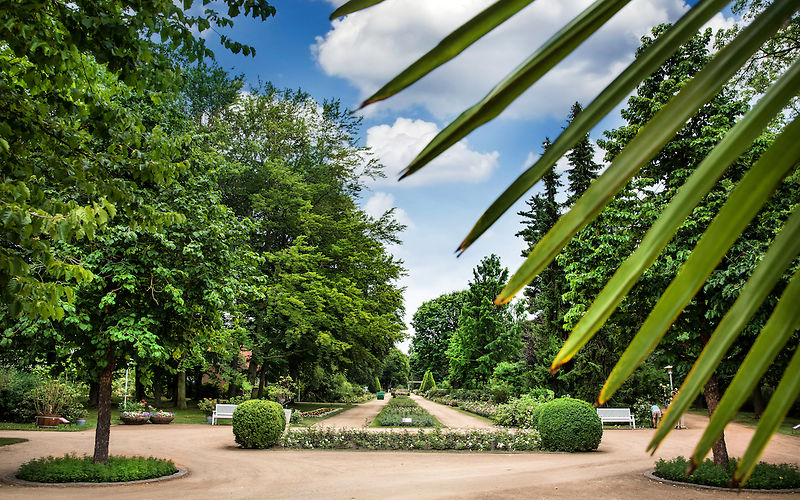 Sicht vom Eingang auf die Hauptachse im Rosenpark