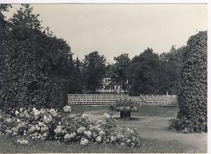 Schillerbühne, Bildrechte: Ostdeutscher Rosengarten Forst (Lausitz) schwarz-weiß Foto blick von der Bühne auf die Ränge im Hintergund die Gaststätte