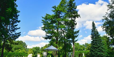 mitten im Park auf einer grünen Wiese mit hohen Bäumen sind weiße Stühle für die freie Trauung vorbereitet