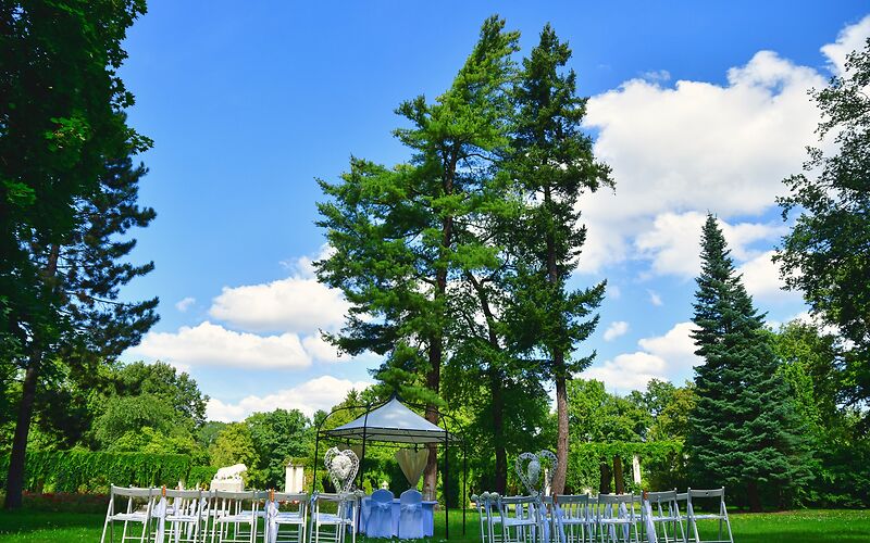 mitten im Park auf einer grünen Wiese mit hohen Bäumen sind weiße Stühle für die freie Trauung vorbereitet